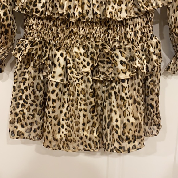 Leopard Dress - Picture 3 of 4